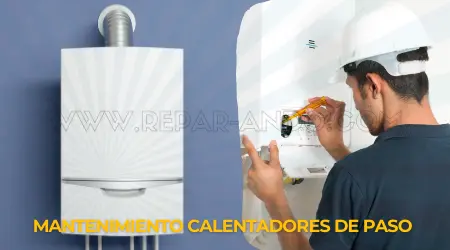 mantenimientoCalentadoresPaso