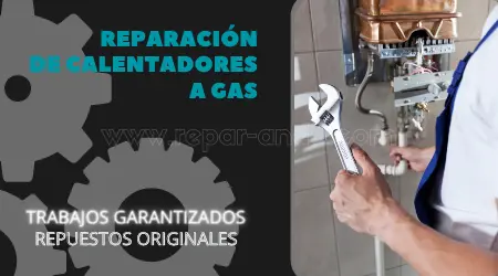 reparacionCalentadoresGas